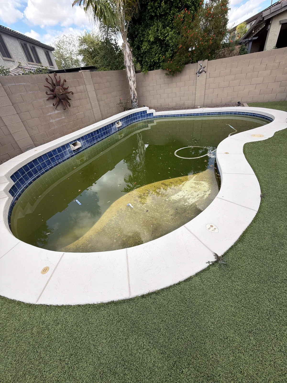 Green pool before cleanup in the East Valley